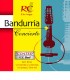 Strings Set BC10